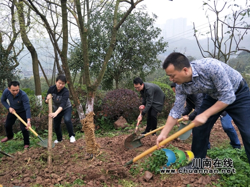 江阳区张坝街道：主题党日活动“接地气”(图2)