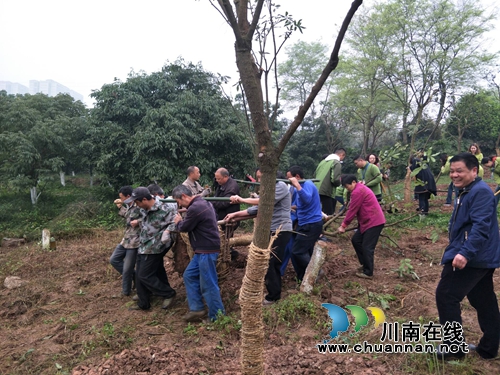 江阳区张坝街道：主题党日活动“接地气”(图3)