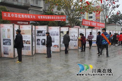 泸县云龙镇承办泸州市第二十三届“科技之春”&nbsp;科普活动月集中示范服务活动(图4)