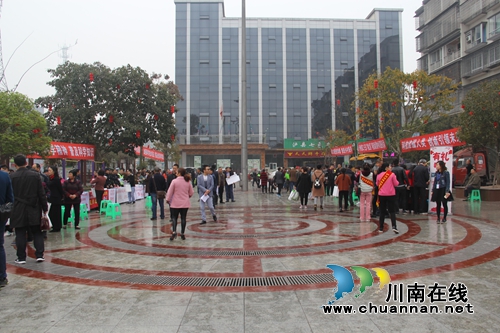 泸县云龙镇承办泸州市第二十三届“科技之春”&nbsp;科普活动月集中示范服务活动(图3)