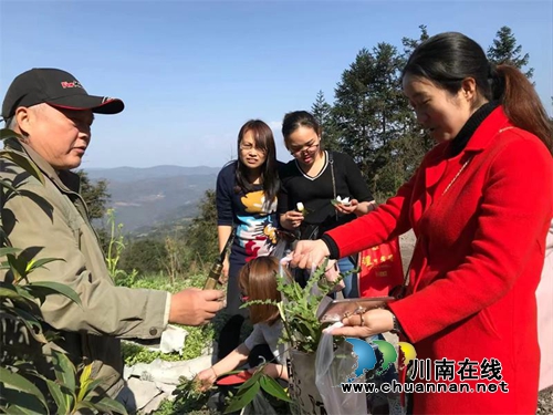 纳溪区新乐镇卫生院：“寻根溯源，回归自然”庆三八(图2)