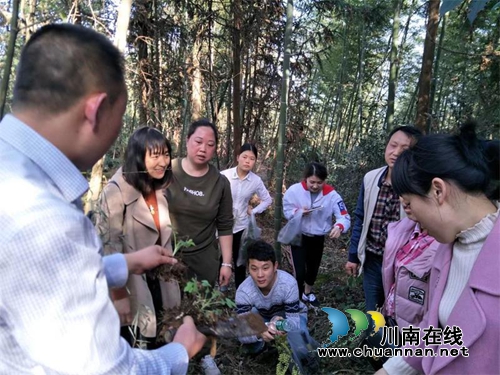 纳溪区新乐镇卫生院：“寻根溯源，回归自然”庆三八(图3)