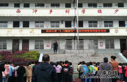 贵州盘州市双凤镇西冲小学开展3.12植树节宣传教育活动(图1)