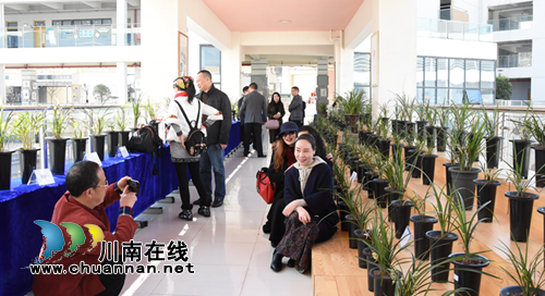 古蔺：打造“兰香”校园&nbsp;&nbsp;&nbsp;创建“品质”名校(图3)