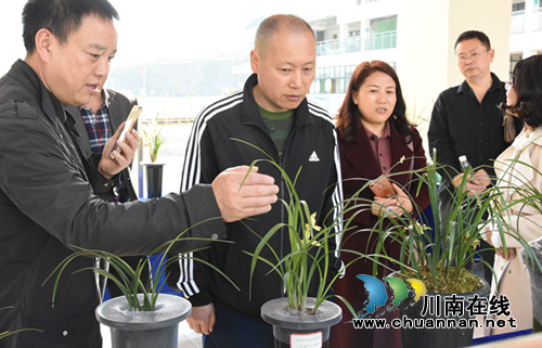 古蔺：打造“兰香”校园&nbsp;&nbsp;&nbsp;创建“品质”名校(图4)