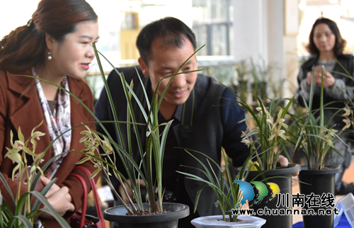 古蔺：打造“兰香”校园&nbsp;&nbsp;&nbsp;创建“品质”名校(图5)