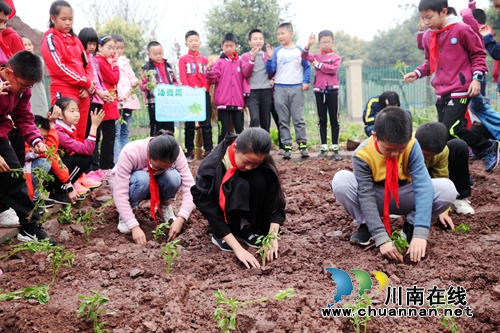 泸州龙马潭：城里娃娃学农耕体验勤俭(图2)