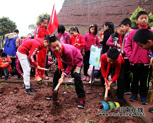 泸州龙马潭：城里娃娃学农耕体验勤俭(图1)