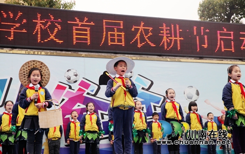 泸州龙马潭：城里娃娃学农耕体验勤俭(图4)