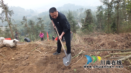 宜宾江安五矿镇积极开展义务植树造林活动(图3) 宜宾江安五矿镇积极开展义务植树造林活动(图3)