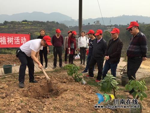 合江县合江镇:义务植树助力脱贫攻坚(图1) 合江县合江镇:义务植树助力脱贫攻坚(图1)