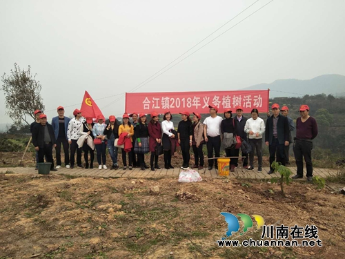 合江县合江镇:义务植树助力脱贫攻坚(图2) 合江县合江镇:义务植树助力脱贫攻坚(图2)