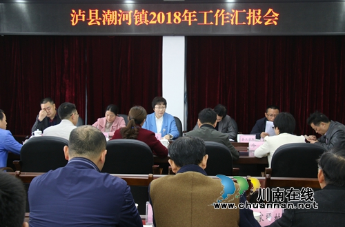 陈佳率队到泸县潮河镇调研2018年工作(图1) 陈佳率队到泸县潮河镇调研2018年工作(图1)