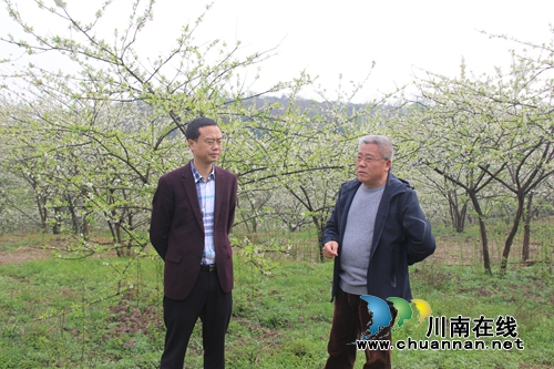 纳溪区人大副主任翁庆平到棉花坡镇调研