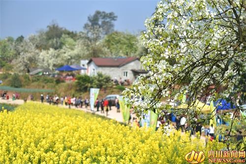 宜宾南溪乡村旅游节暨仙临梨花节开幕(图3)