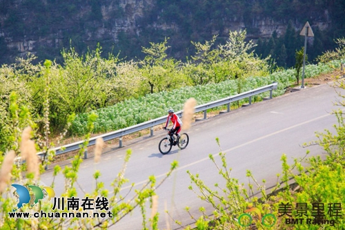 四川叙永首届乌蒙花海彝王骑行挑战赛今日开赛(图7) 四川叙永首届乌蒙花海彝王骑行挑战赛今日开赛(图7)