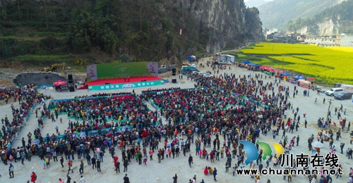 画里乡村 古蔺双沙菜花旅游文化开放月启幕(图8) 画里乡村 古蔺双沙菜花旅游文化开放月启幕(图8)