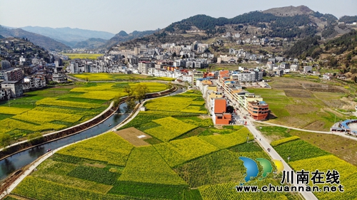 画里乡村 古蔺双沙菜花旅游文化开放月启幕(图10) 画里乡村 古蔺双沙菜花旅游文化开放月启幕(图10)