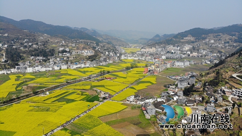 画里乡村 古蔺双沙菜花旅游文化开放月启幕(图11) 画里乡村 古蔺双沙菜花旅游文化开放月启幕(图11)