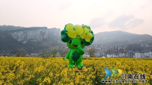 画里乡村 古蔺双沙菜花旅游文化开放月启幕(图9) 画里乡村 古蔺双沙菜花旅游文化开放月启幕(图9)