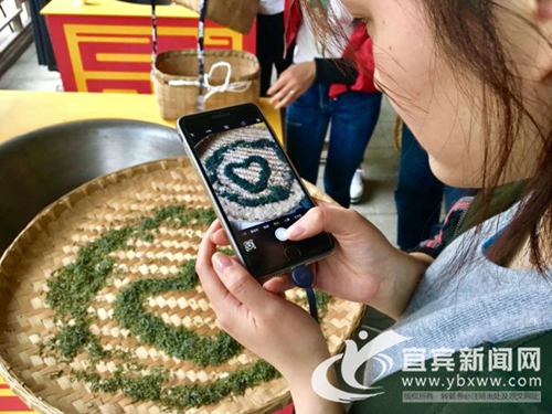 天府龙芽:宜宾礼敬世界的一杯中国好茶(图4) 天府龙芽:宜宾礼敬世界的一杯中国好茶(图4)
