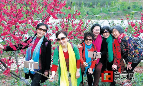 自贡第十九届飞龙峡桃花生态旅游节开幕(图1) 自贡第十九届飞龙峡桃花生态旅游节开幕(图1)