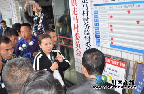 普格县县委副书记来龙马潭区特兴镇走马新村参观交流(图2)