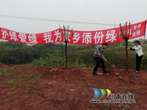 龙马潭区特兴镇开展“拥抱春天、播种绿色”主题植树活动(图2)