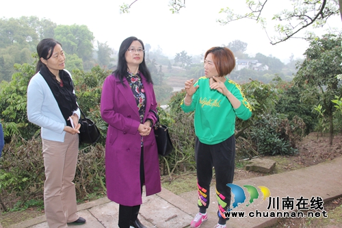 遂宁市科协到泸县云龙镇考察交流(图1) 遂宁市科协到泸县云龙镇考察交流(图1)