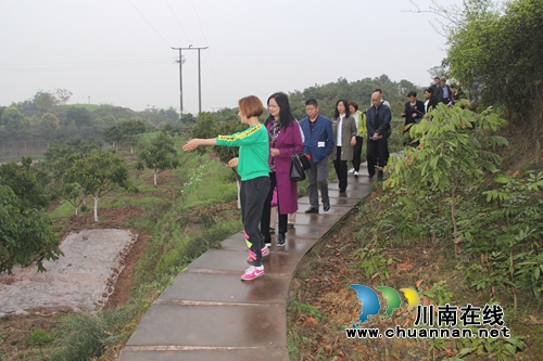 遂宁市科协到泸县云龙镇考察交流(图2) 遂宁市科协到泸县云龙镇考察交流(图2)