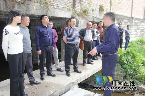 张学彬到泸县云龙镇督导水生态治理工作(图1)