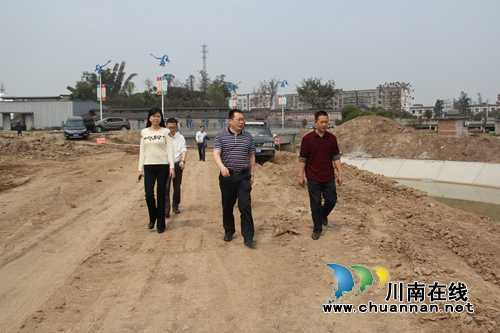 张学彬到泸县云龙镇督导水生态治理工作(图2)
