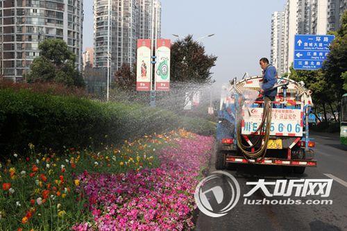 喜迎2018酒博会&nbsp;70万盆鲜花扮靓酒城(图4)