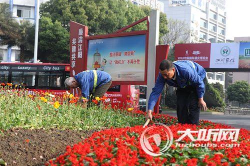 喜迎2018酒博会&nbsp;70万盆鲜花扮靓酒城(图2)