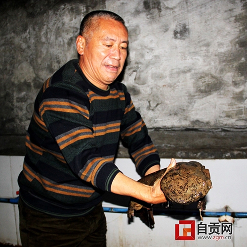 为了这件宝&nbsp;自贡这家人居然搬入洞穴居住！