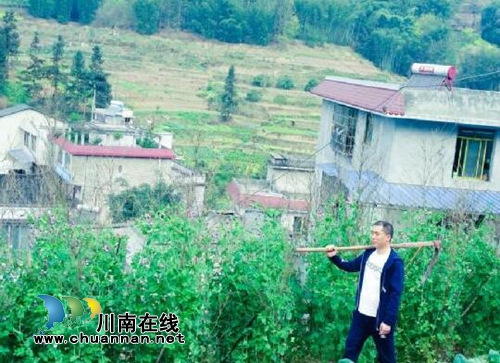叙永县委群工局:春天,为贫困户种下一棵爱心竹(图5) 叙永县委群工局:春天,为贫困户种下一棵爱心竹(图5)
