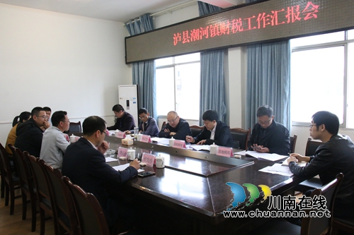 张文杰到泸县潮河镇督导安全及财税工作