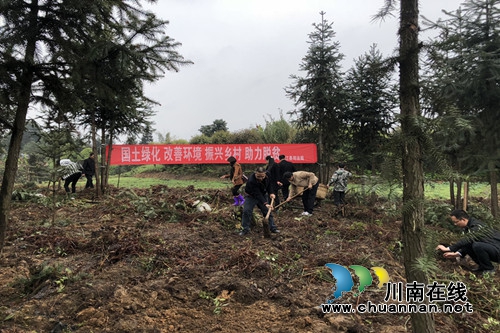 合江县司法局：义务植树&nbsp;助力脱贫