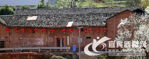 宜宾屏山中都镇:金黄菜花成为村民“摇钱树”(图4) 宜宾屏山中都镇:金黄菜花成为村民“摇钱树”(图4)