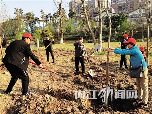 今年 内江市计划人工造林9.23万亩(图1) 今年 内江市计划人工造林9.23万亩(图1)