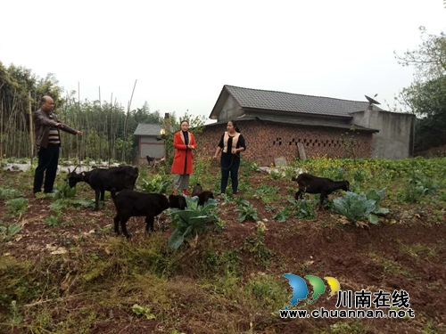 江阳区华阳街道开展精准扶贫工作(图1) 江阳区华阳街道开展精准扶贫工作(图1)
