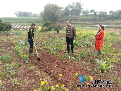 江阳区华阳街道开展精准扶贫工作(图2) 江阳区华阳街道开展精准扶贫工作(图2)
