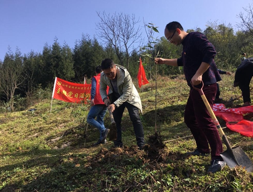宜宾：开展种竹活动&nbsp;发展竹产业助力乡村振兴