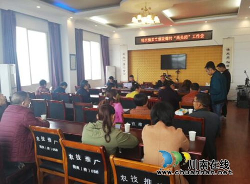 龙马潭区特兴镇组织召开全镇烟花爆竹“两关闭”工作会