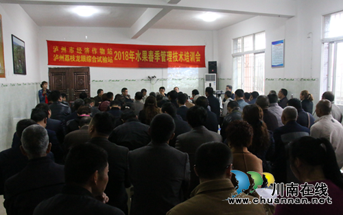 泸县龙眼产业供给侧结构性改革现场培训会走进潮河镇(图1) 泸县龙眼产业供给侧结构性改革现场培训会走进潮河镇(图1)
