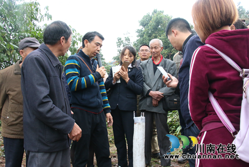 泸县龙眼产业供给侧结构性改革现场培训会走进潮河镇