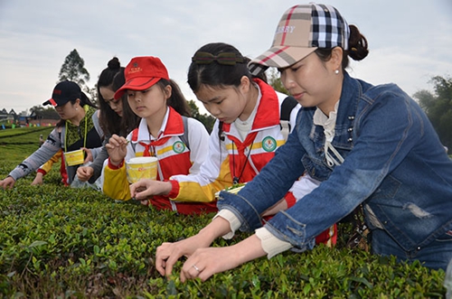 自贡：荣县来牟第十届茶文化节开幕