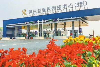 川南临港片区这一年:每3天推出一项创新试验(图3) 川南临港片区这一年:每3天推出一项创新试验(图3)