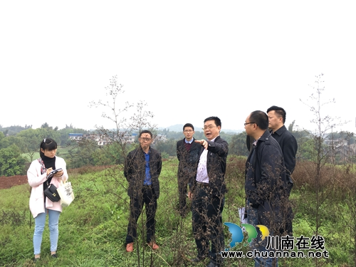 合江县人大副主任李洪伦调研临港工业园区项目建设(图1) 合江县人大副主任李洪伦调研临港工业园区项目建设(图1)