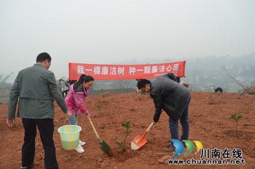 江阳区华阳街道开展“栽一棵廉洁树&nbsp;种一颗廉洁心愿”植树活动